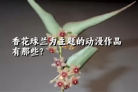 香花球兰为主题的动漫作品有那些？