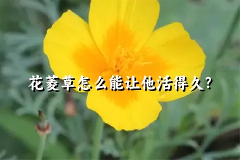 花菱草怎么能让他活得久？