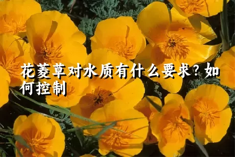 花菱草对水质有什么要求？如何控制