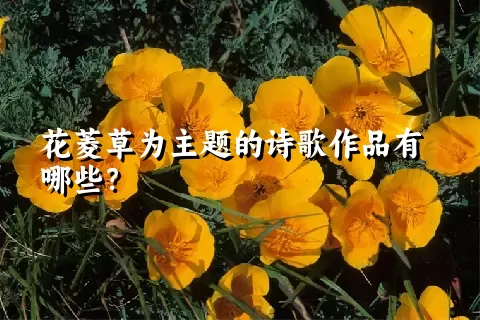 花菱草为主题的诗歌作品有哪些？