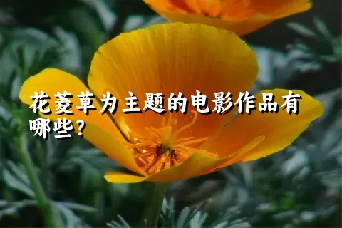 花菱草为主题的电影作品有哪些？