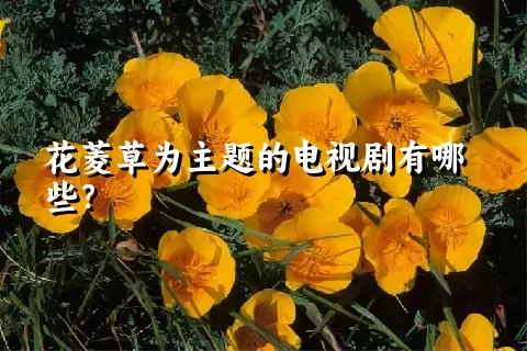 花菱草为主题的电视剧有哪些？