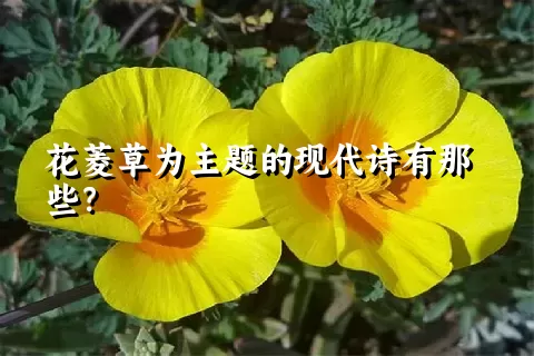 花菱草为主题的现代诗有那些？