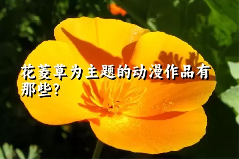 花菱草为主题的动漫作品有那些？