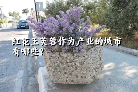 红花玉芙蓉作为产业的城市有哪些？