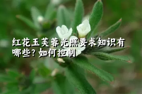 红花玉芙蓉光照要求知识有哪些？如何控制