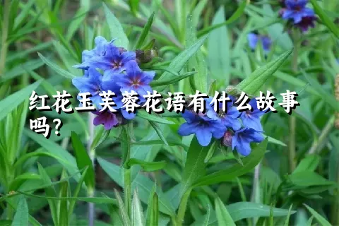 红花玉芙蓉花语有什么故事吗？