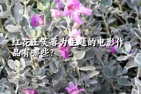 红花玉芙蓉为主题的电影作品有哪些？