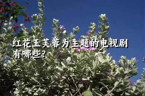 红花玉芙蓉为主题的电视剧有哪些？