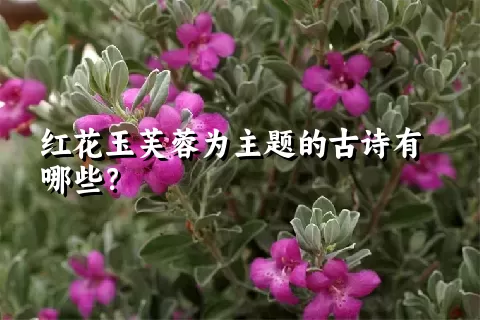 红花玉芙蓉为主题的古诗有哪些？