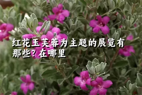 红花玉芙蓉为主题的展览有那些？在哪里