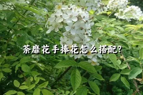 荼靡花手捧花怎么搭配？