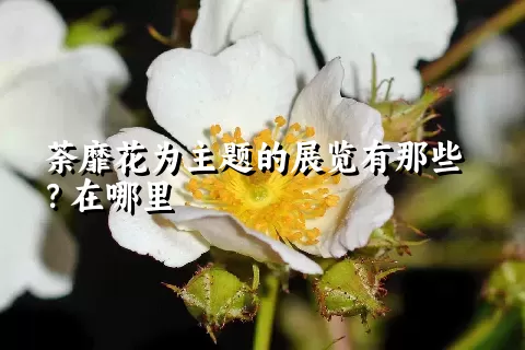 荼靡花为主题的展览有那些？在哪里