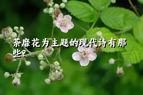 荼靡花为主题的现代诗有那些？