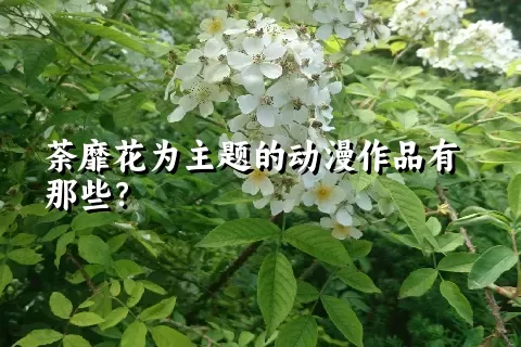 荼靡花为主题的动漫作品有那些？