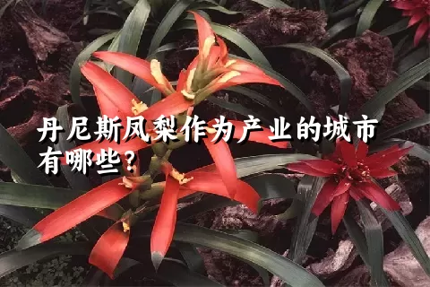 丹尼斯凤梨作为产业的城市有哪些？