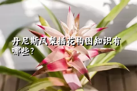 丹尼斯凤梨插花构图知识有哪些？