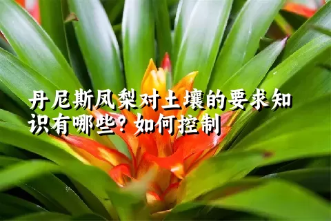 丹尼斯凤梨对土壤的要求知识有哪些？如何控制