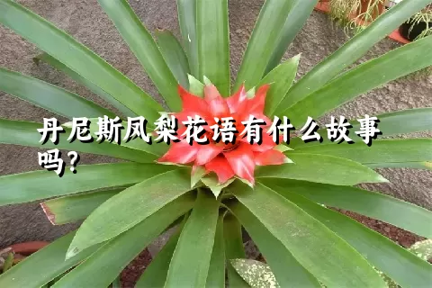 丹尼斯凤梨花语有什么故事吗？