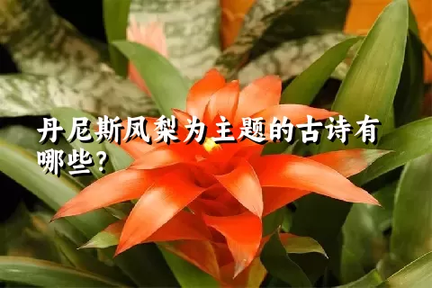 丹尼斯凤梨为主题的古诗有哪些？