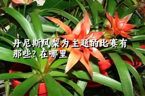 丹尼斯凤梨为主题的比赛有那些？在哪里