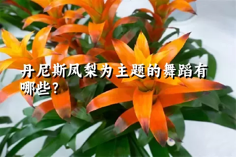 丹尼斯凤梨为主题的舞蹈有哪些？