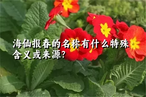 海仙报春的名称有什么特殊含义或来源？