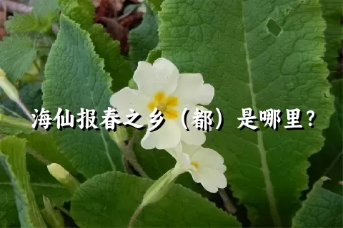 海仙报春之乡（都）是哪里？