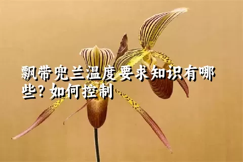 飘带兜兰温度要求知识有哪些？如何控制