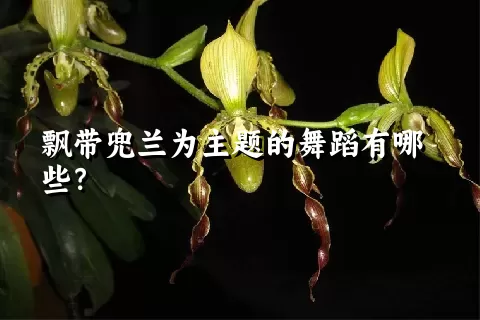 飘带兜兰为主题的舞蹈有哪些？