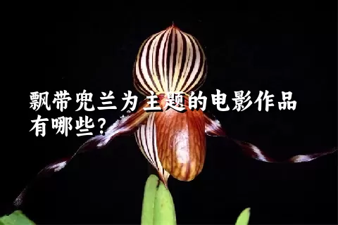 飘带兜兰为主题的电影作品有哪些？