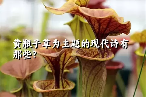 黄瓶子草为主题的现代诗有那些？