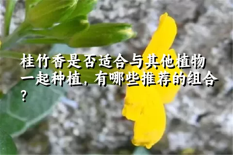 桂竹香是否适合与其他植物一起种植，有哪些推荐的组合？