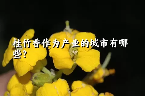 桂竹香作为产业的城市有哪些？