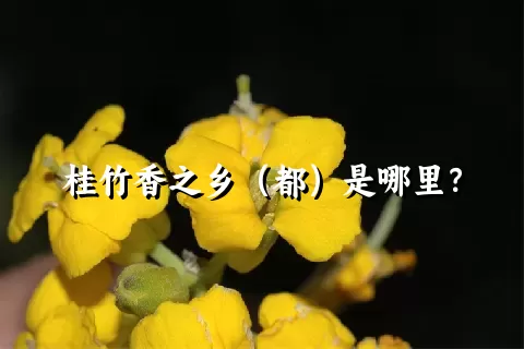 桂竹香之乡（都）是哪里？