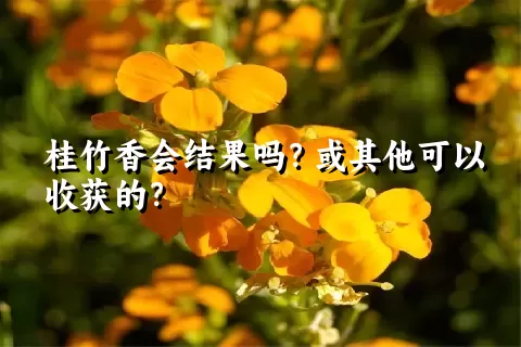 桂竹香会结果吗？或其他可以收获的？