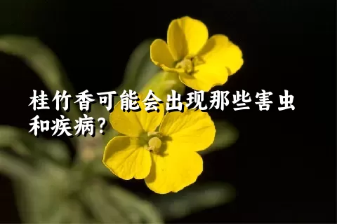 桂竹香可能会出现那些害虫和疾病？