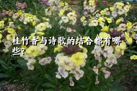 桂竹香与诗歌的结合都有哪些？