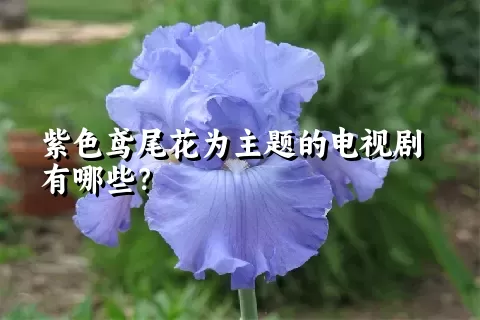 紫色鸢尾花为主题的电视剧有哪些？