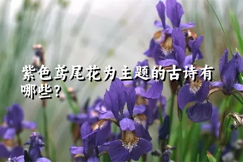 紫色鸢尾花为主题的古诗有哪些？