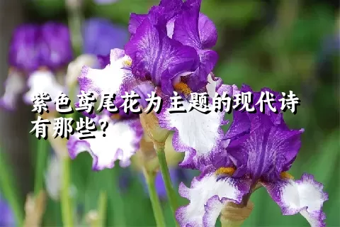 紫色鸢尾花为主题的现代诗有那些？