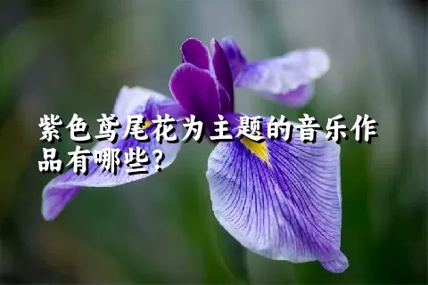 紫色鸢尾花为主题的音乐作品有哪些？