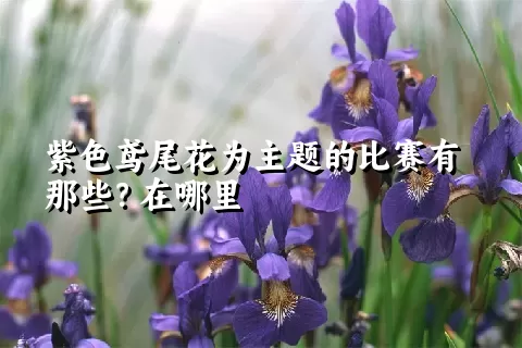 紫色鸢尾花为主题的比赛有那些？在哪里