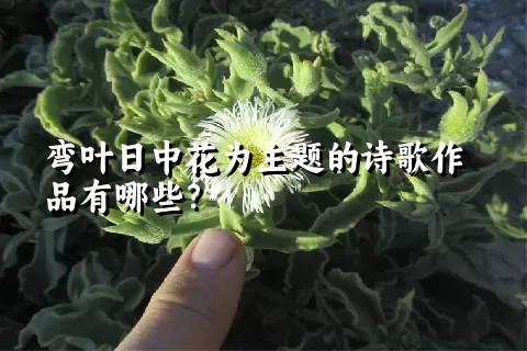 弯叶日中花为主题的诗歌作品有哪些？