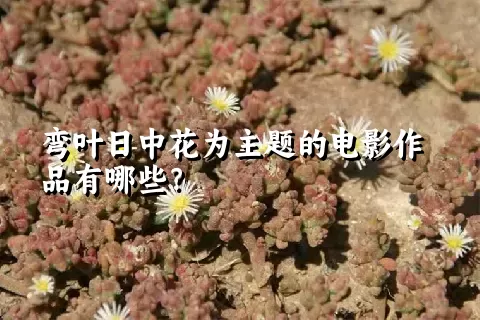 弯叶日中花为主题的电影作品有哪些？