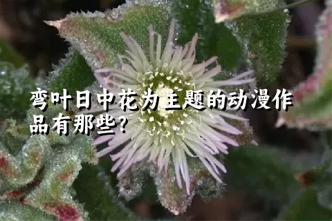 弯叶日中花为主题的动漫作品有那些？