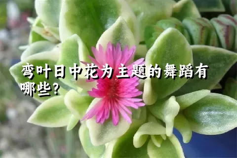 弯叶日中花为主题的舞蹈有哪些？