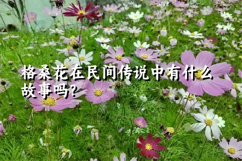 格桑花在民间传说中有什么故事吗？