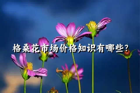 格桑花市场价格知识有哪些？