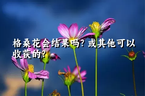 格桑花会结果吗？或其他可以收获的？